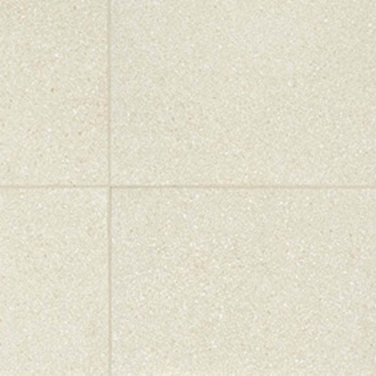 Neospeck in White-12x24-Light Polished Tile
