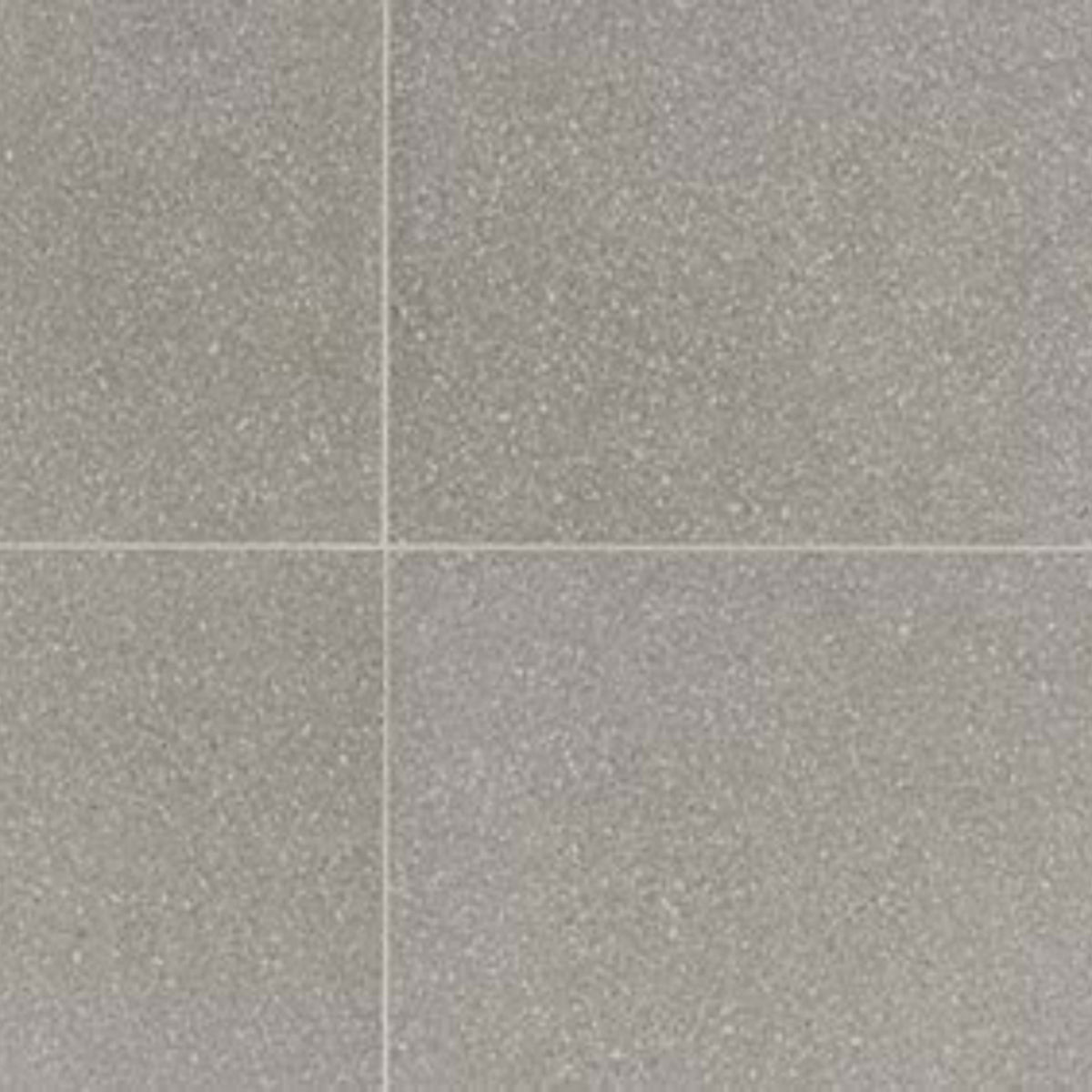 Neospeck in Light Gray-12x24-Light Polished Tile
