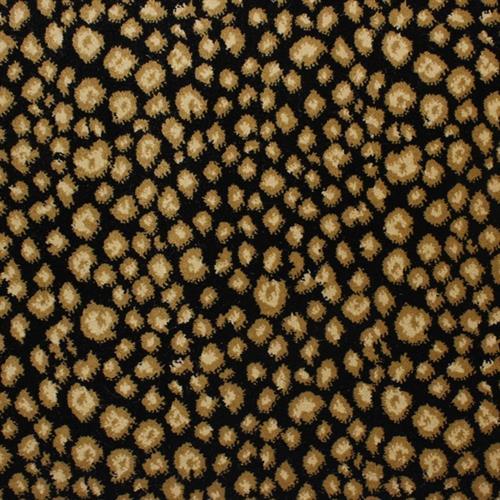NewLeopard