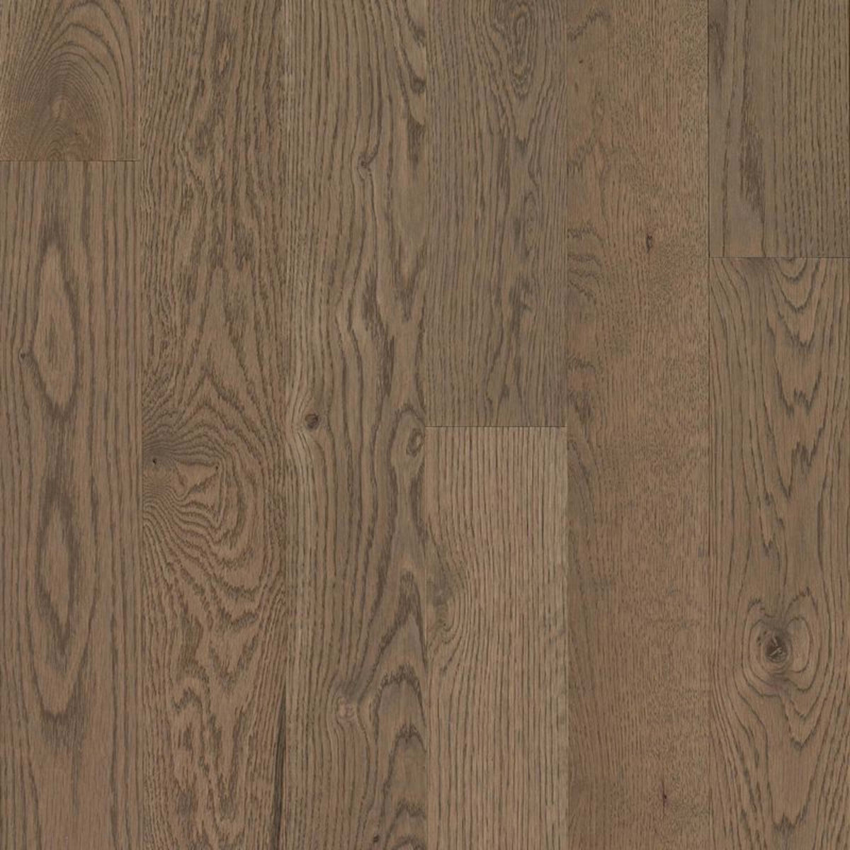 Natural Forest Oak Solid in Tree Top 4" Hardwood