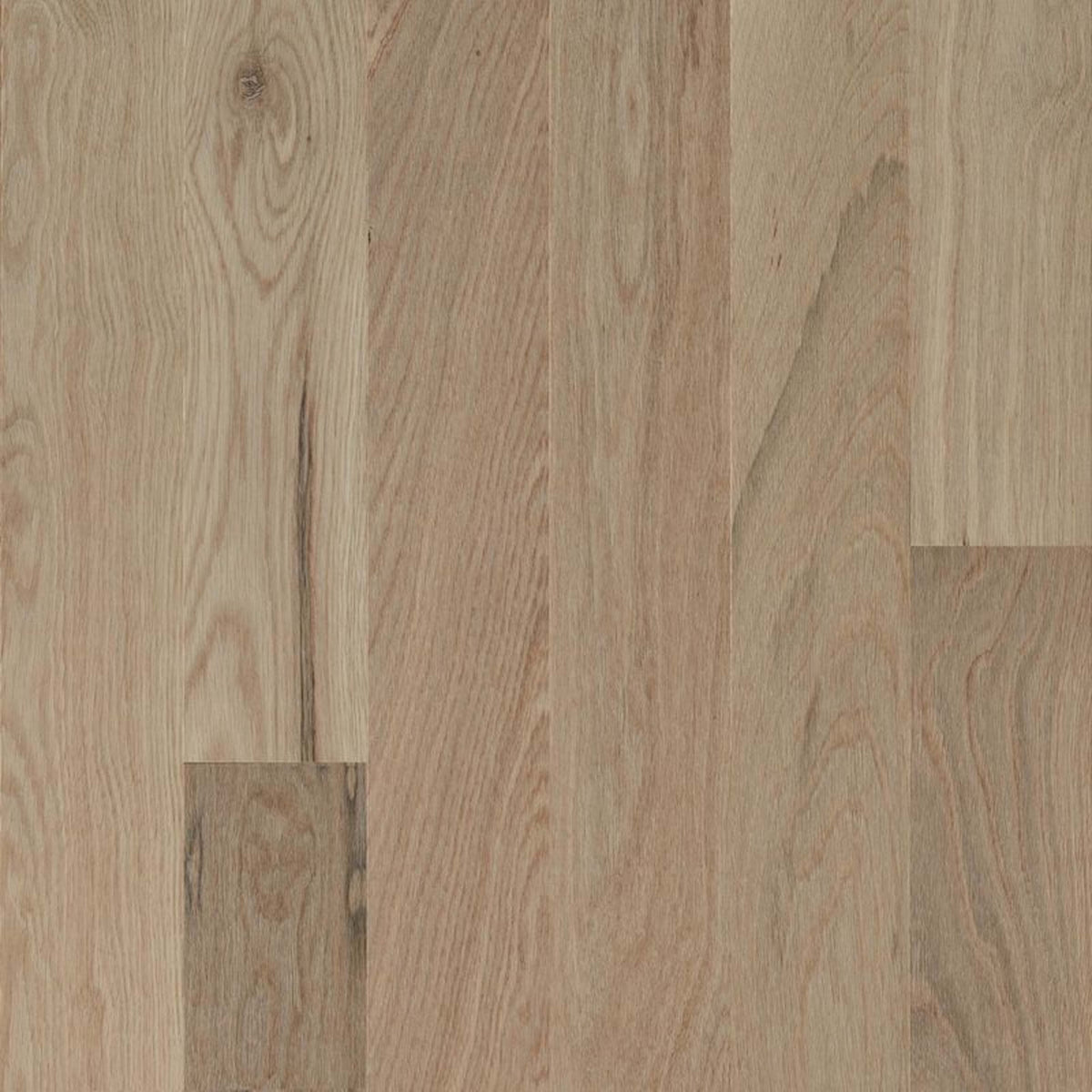 Natural Forest Oak Solid in Totally Tan 4" Hardwood