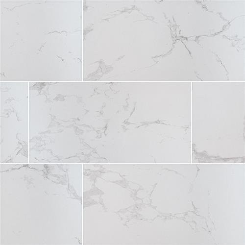 Praia in Carrara - 24x48 Matte Tile