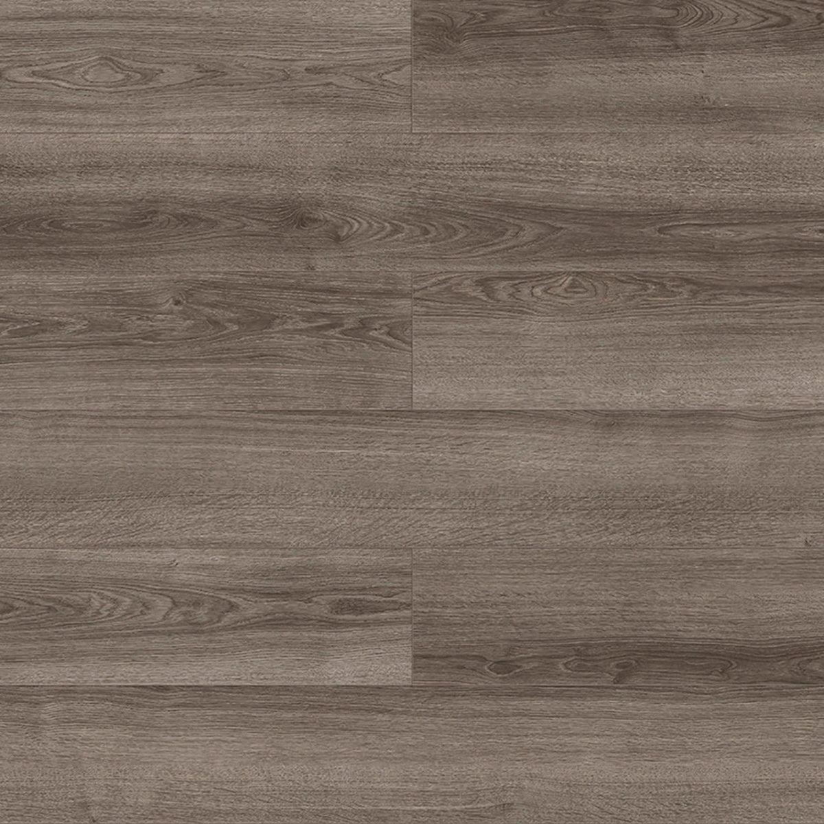 Visions in Nelson Laminate