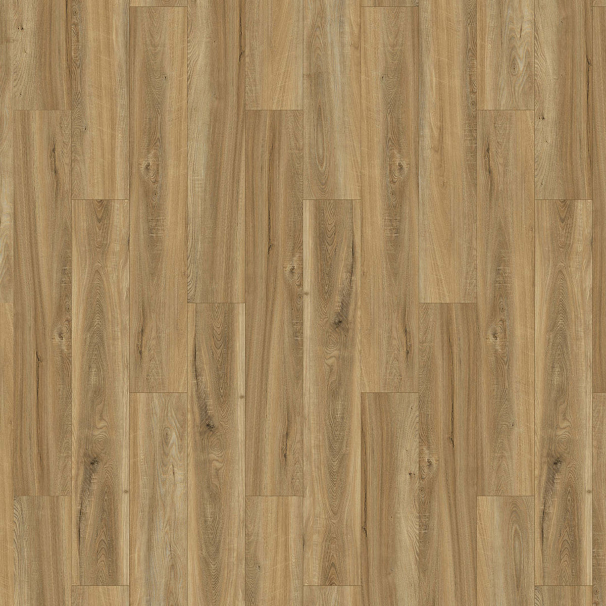 Innovious - Perceptions in Nol Elm Luxury Vinyl
