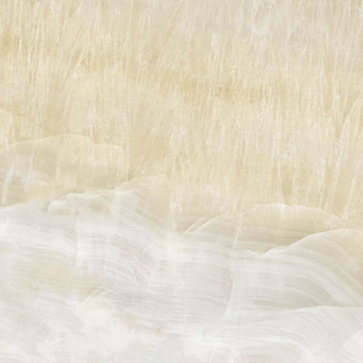 Onyx Ostra in Ivory Tile