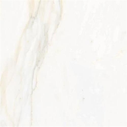 Calacata in Gold Natural Tile