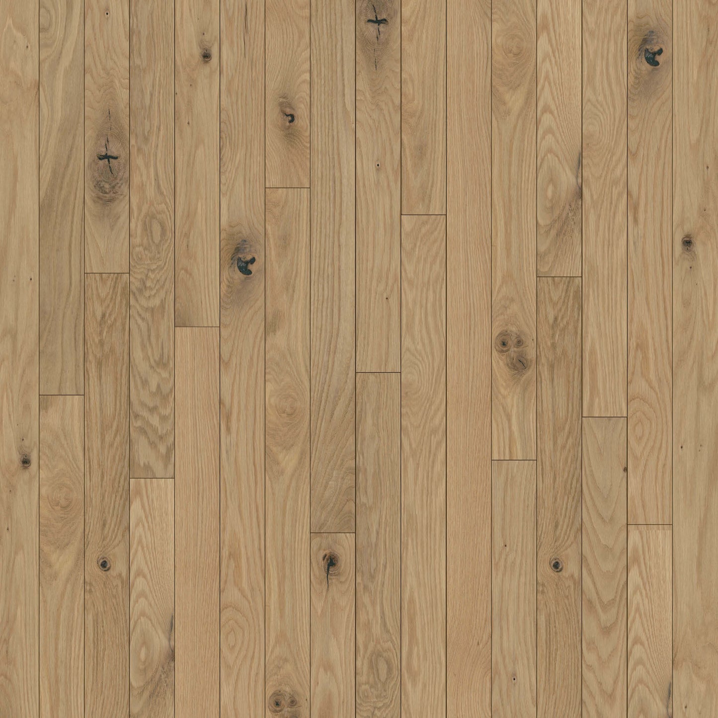 Anthem 3.25" in Piedmont Hardwood