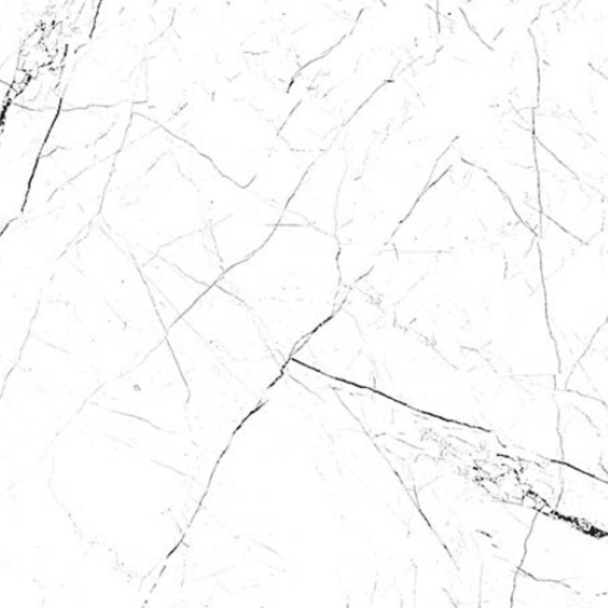 Pietra in White 24x48 Tile