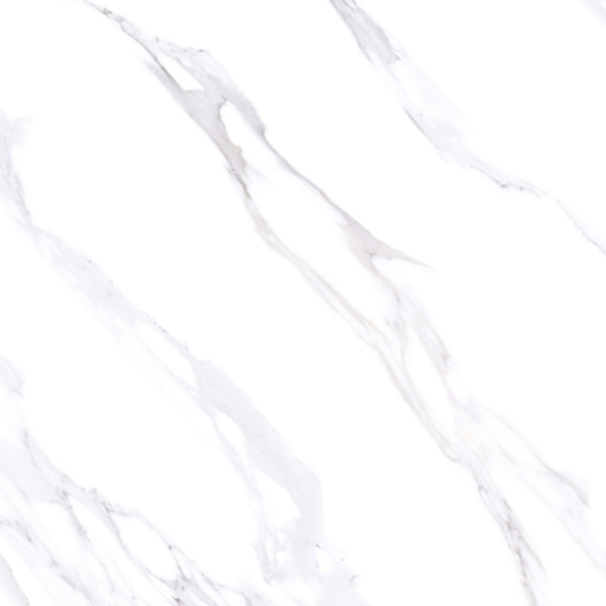 Porcelanato in Bianco Carrara Tile