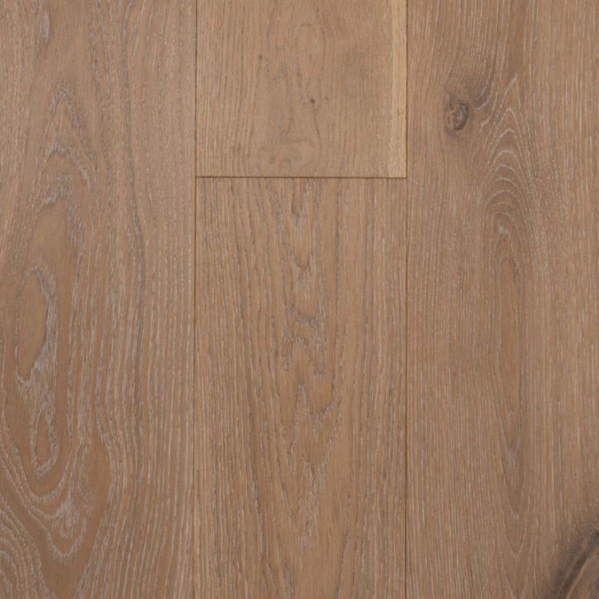 Volterra in Gusto Hardwood
