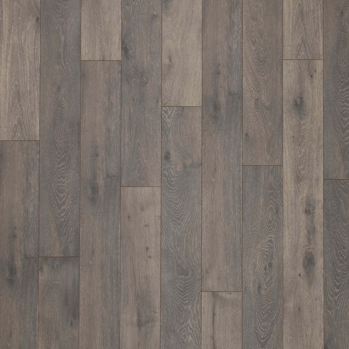 Originals Accustoms in Aster Laminate
