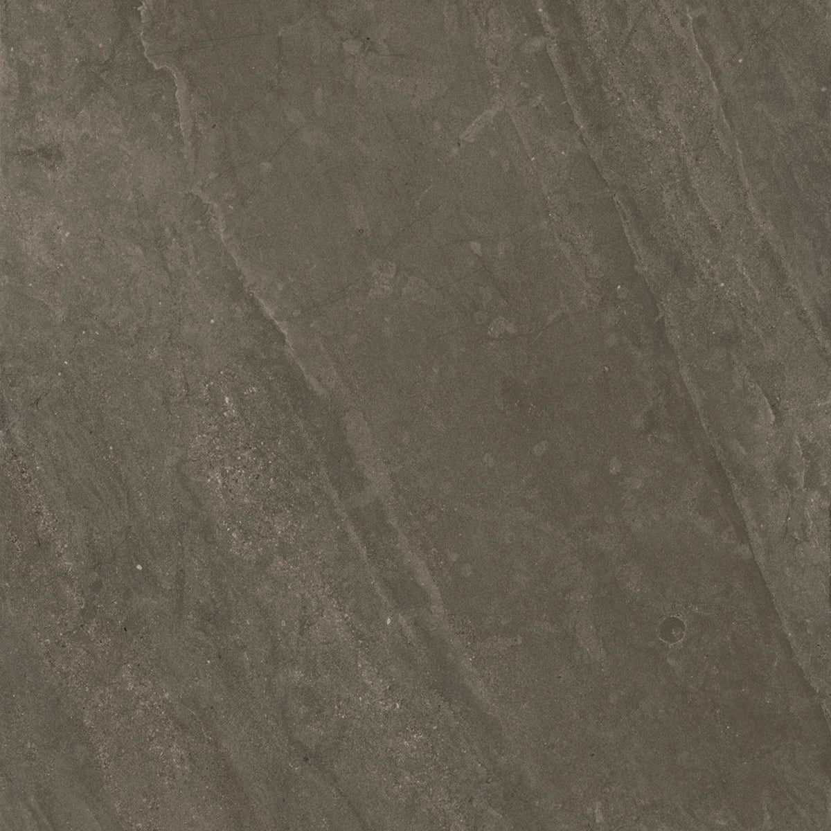 Portugal in Madeira Reserve 12"x24" Textured Exterior Tile
