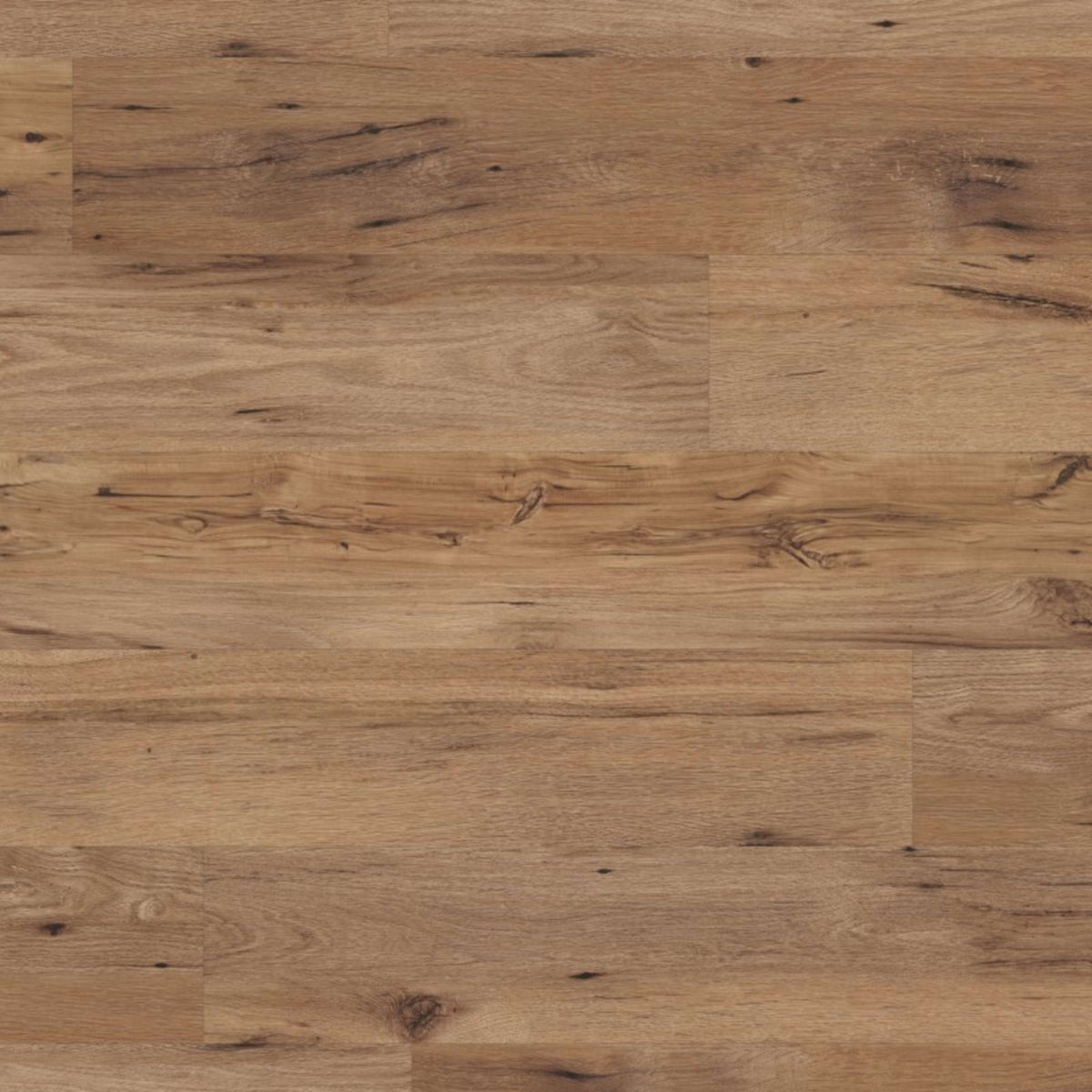 Glue Down Collection in Charleston Luxury Vinyl