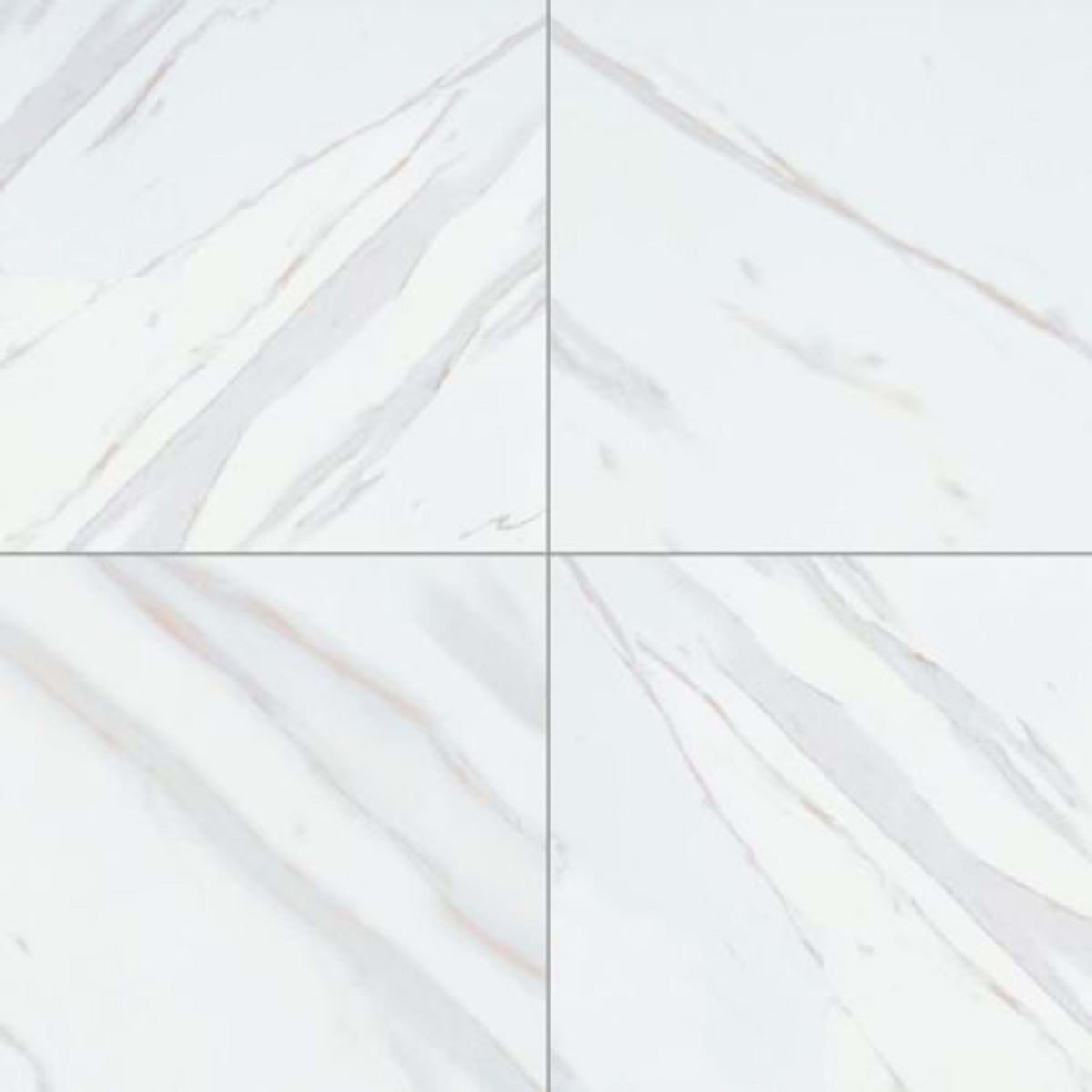 Pietra in Calacatta - 24x24 Matte Tile