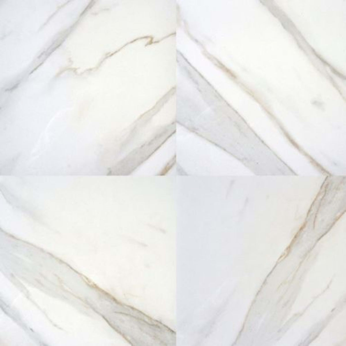Pietra in Calacatta - 24x24 Polished Tile
