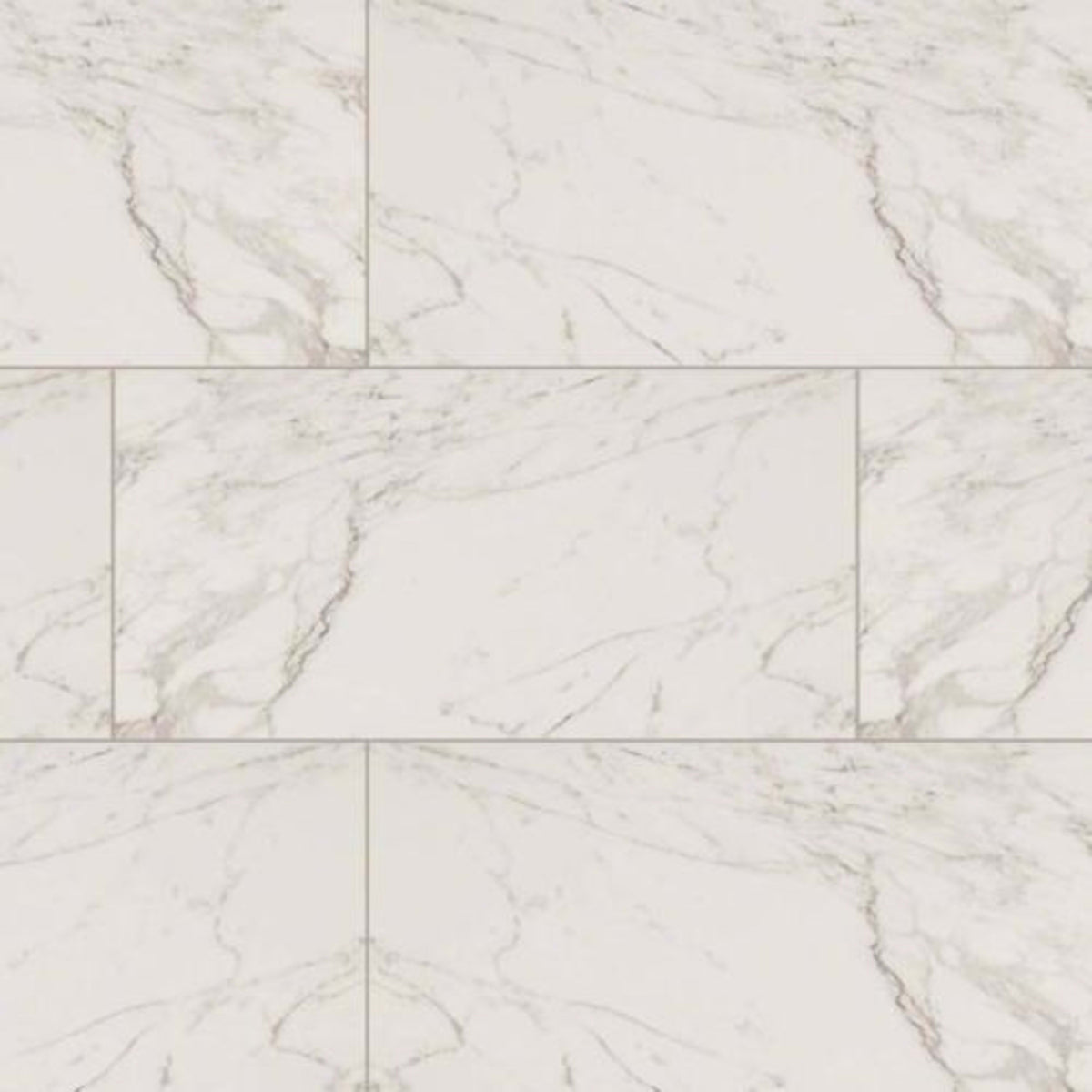 Pietra in Carrara - 12x24 Polished Tile