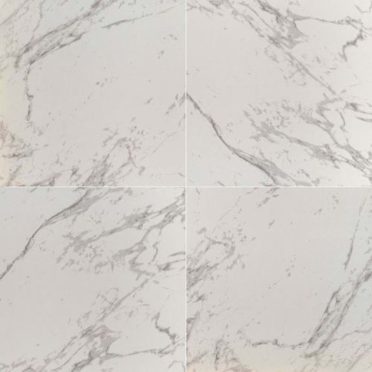 Pietra in Carrara - 24x24 Polished Tile