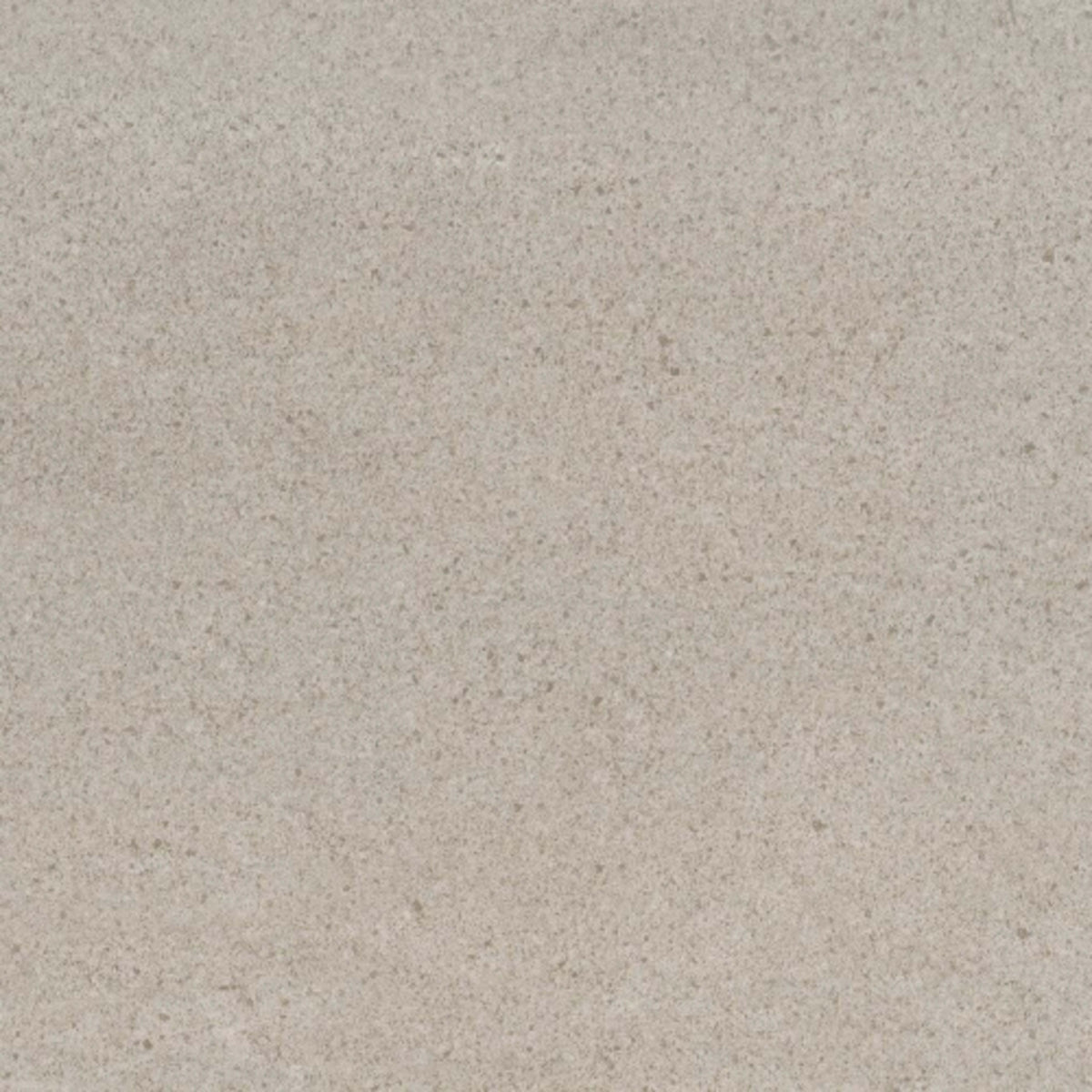 Porto II in Fawn 12" X 24" Polished Tile