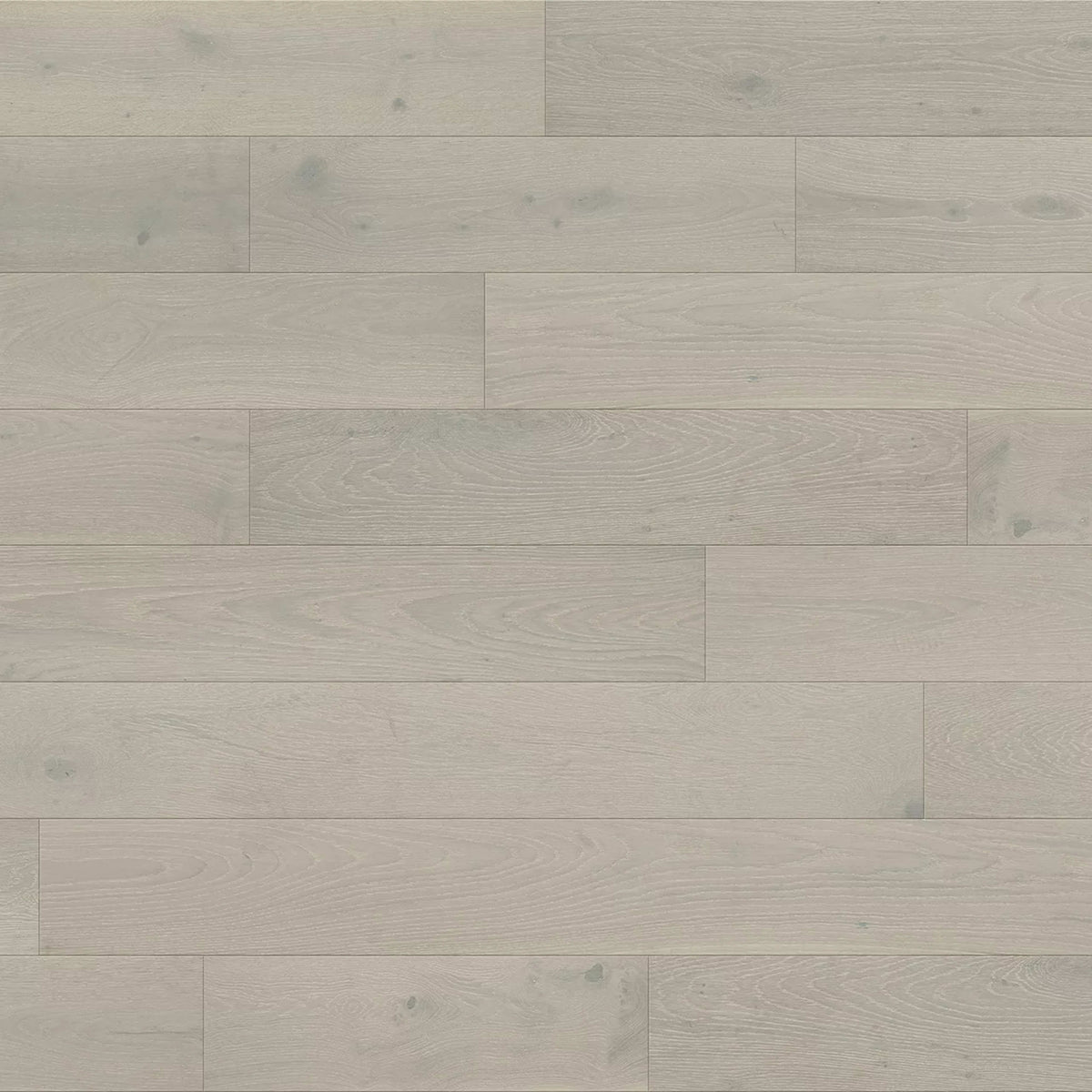 Renaissance in Palermo Hardwood