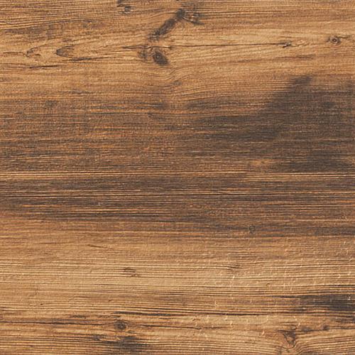 LARIX in Sun Tile