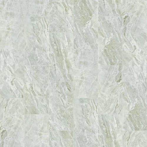 VISION 12X24 POLISH
