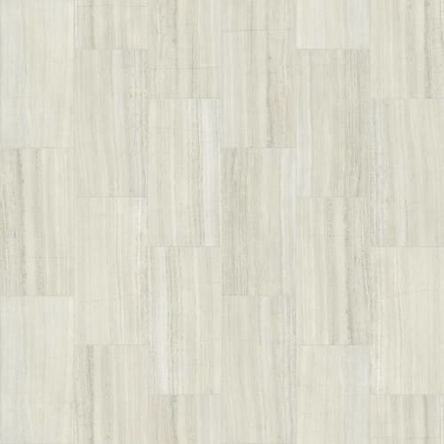 VISION 12X24 POLISH