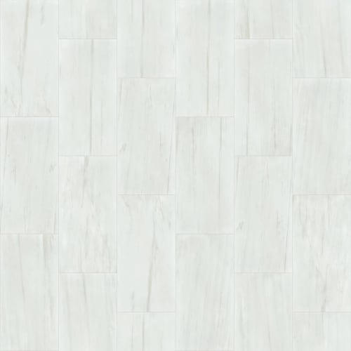 VISION 16X32 POLISH