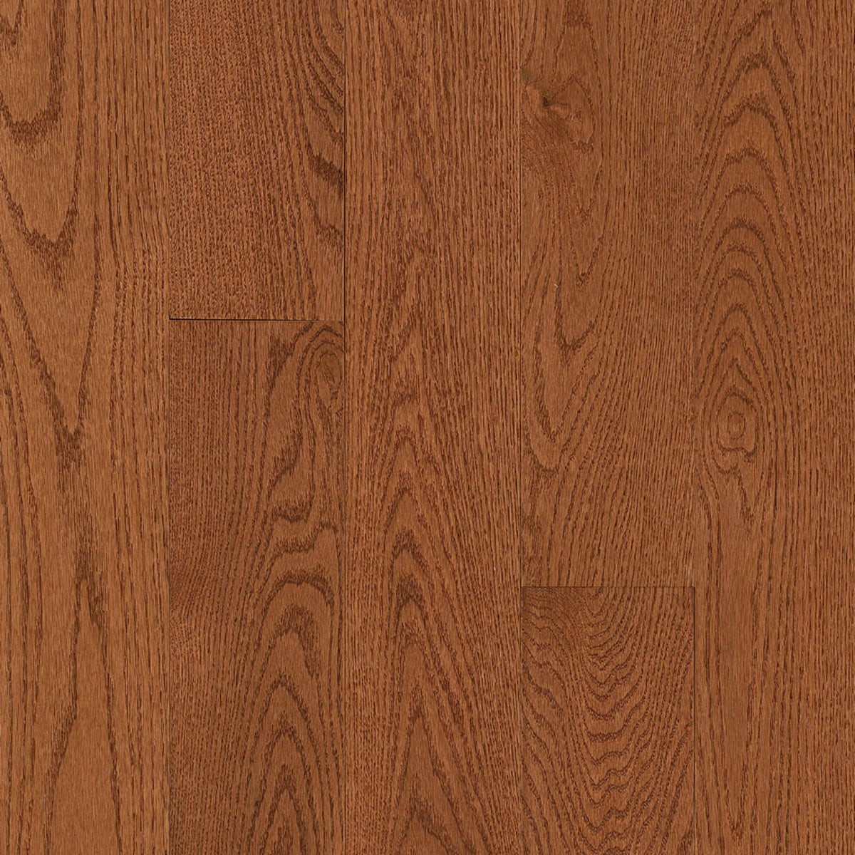Paragon Red Oak Solid in Original Ember 5" - High Gloss Hardwood