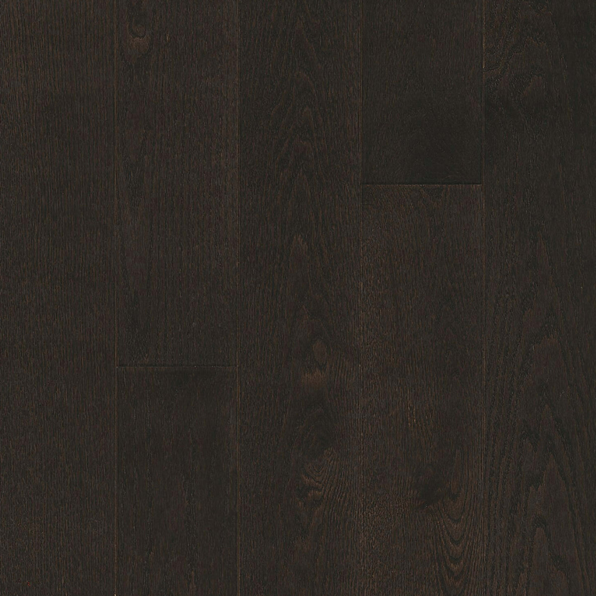 Paragon Red Oak Solid in Classic Ore 5" - High Gloss Hardwood
