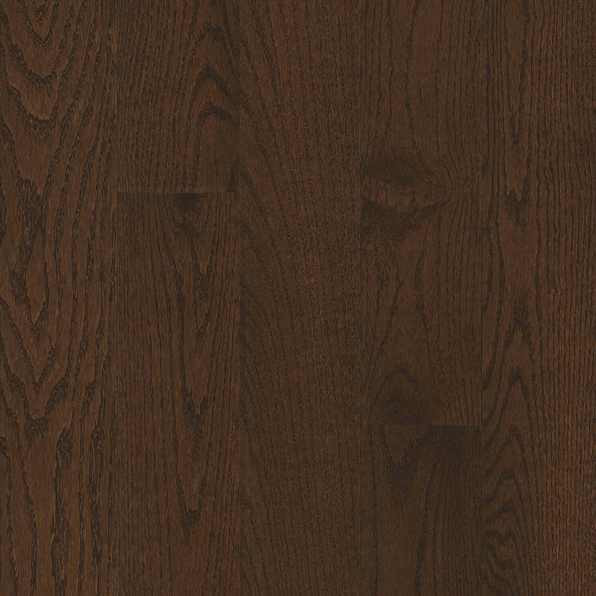 Paragon Red Oak Solid in Countryside Brown 5" - Low Gloss Hardwood