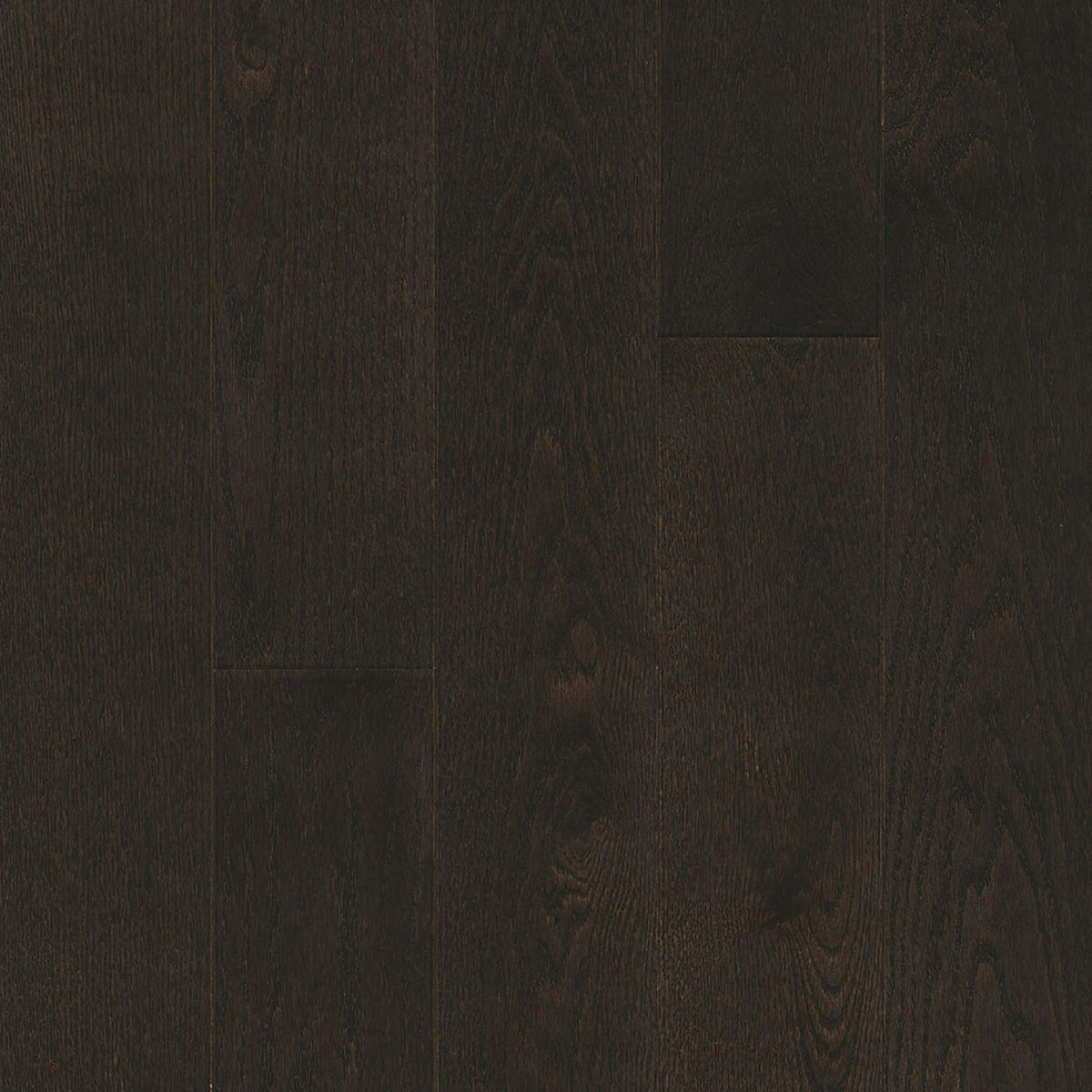 Paragon Red Oak Solid in Classic Ore 5" - Low Gloss Hardwood