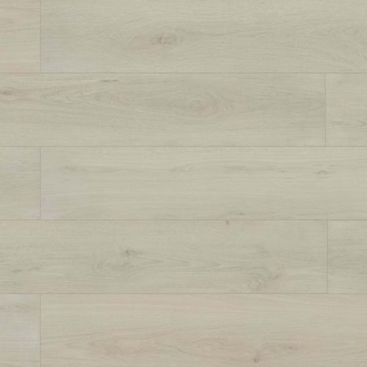 Evolved in Vega Laminate