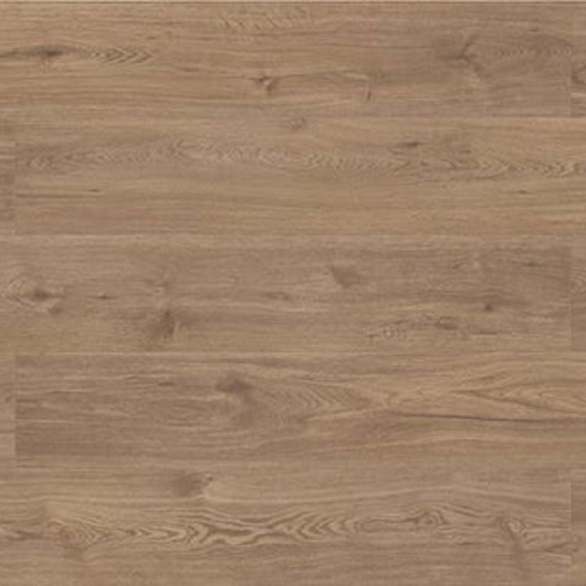 Evolved in Canford Xxl Laminate
