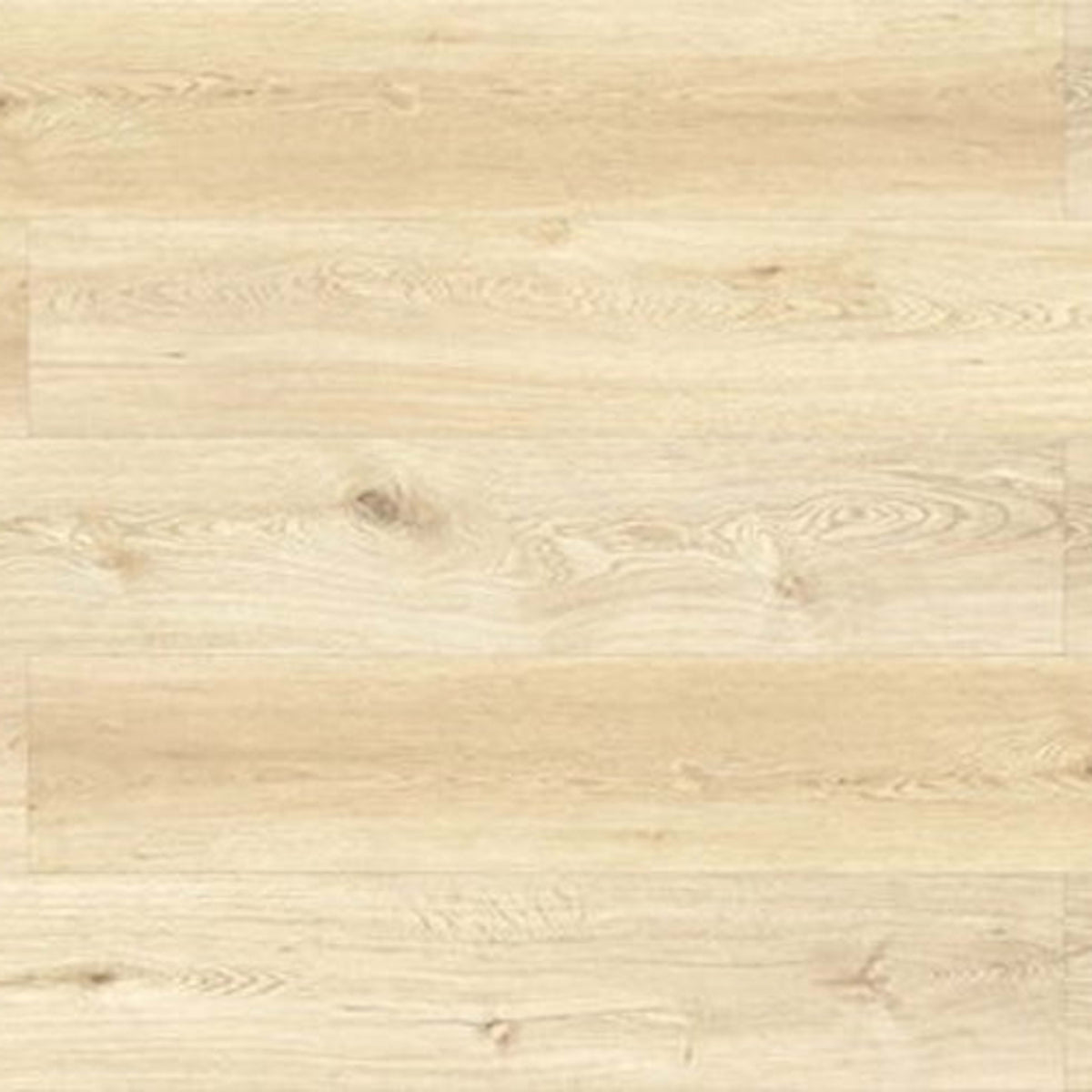 Evolved in Holmwood Xxl Laminate