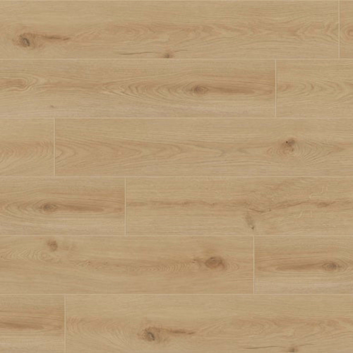 Evolved in Novella Laminate