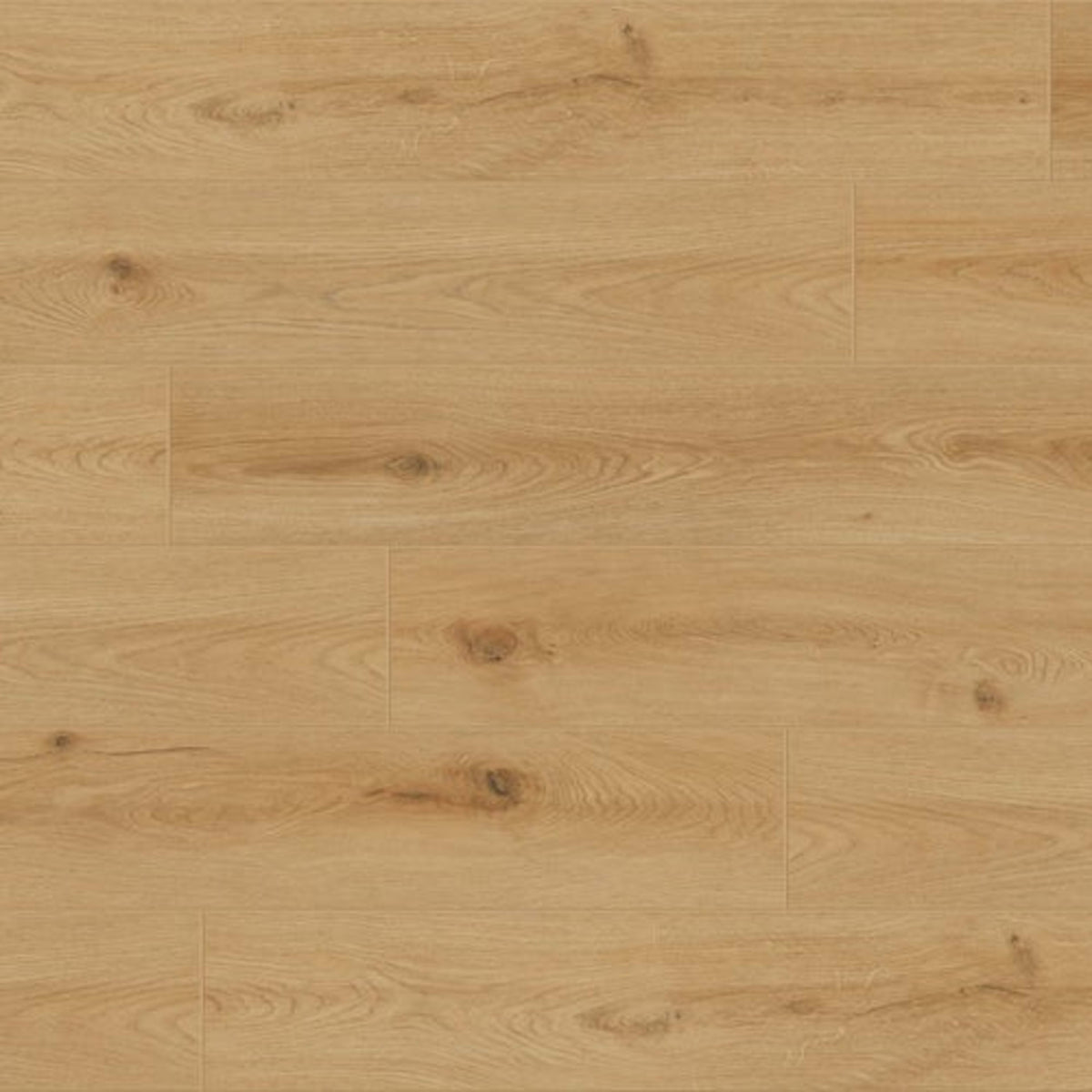 Evolved in Stellana Laminate