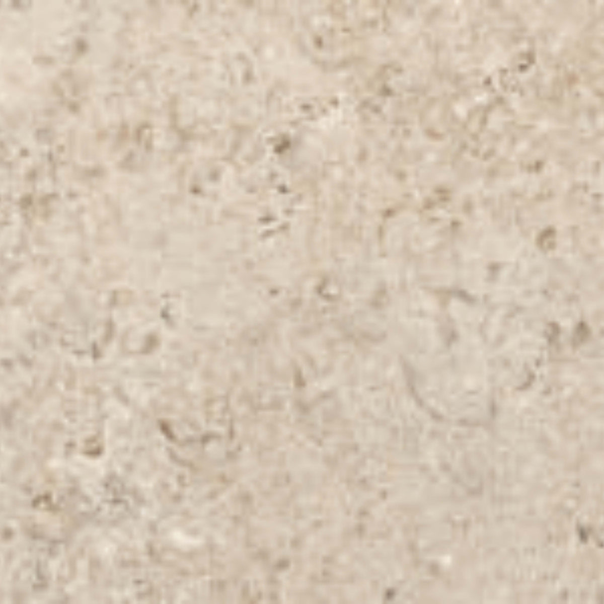 Shellstone in Amber-Mosaic Tile