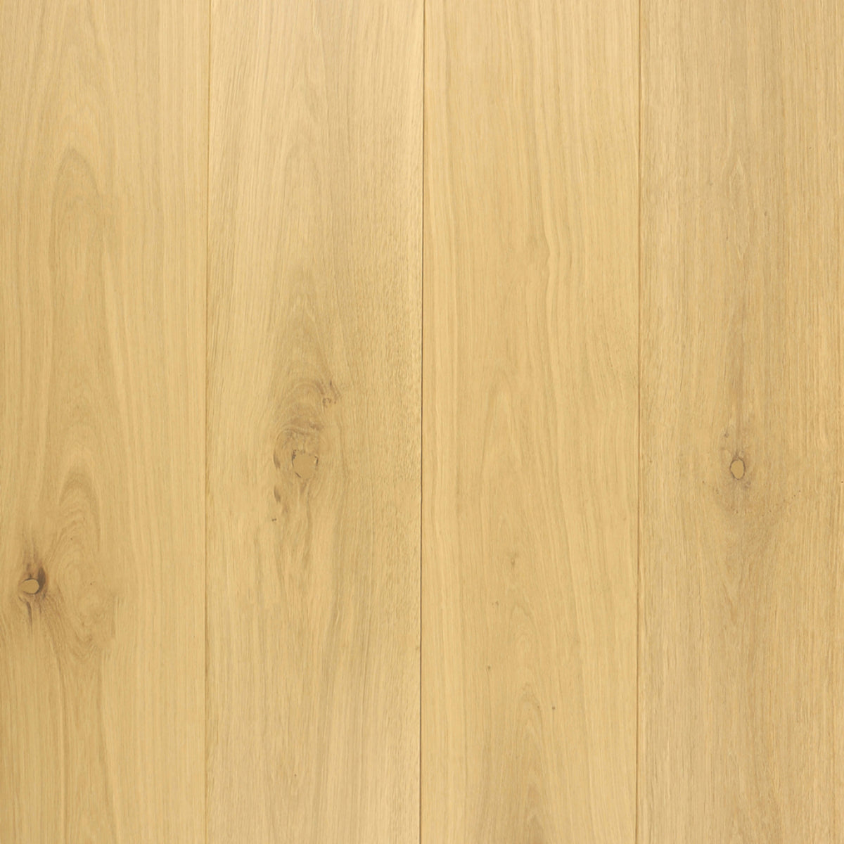 Tierra in Sol Hardwood
