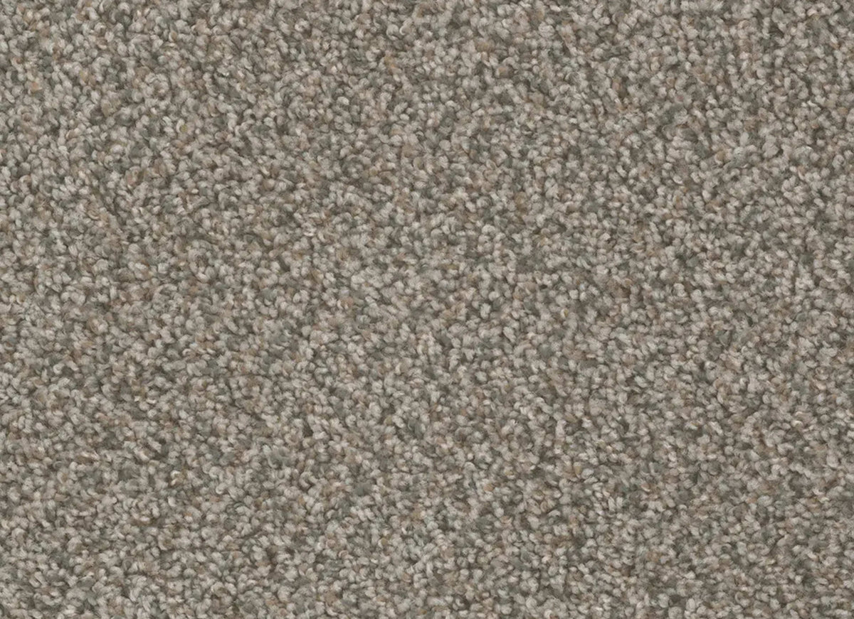 SP250