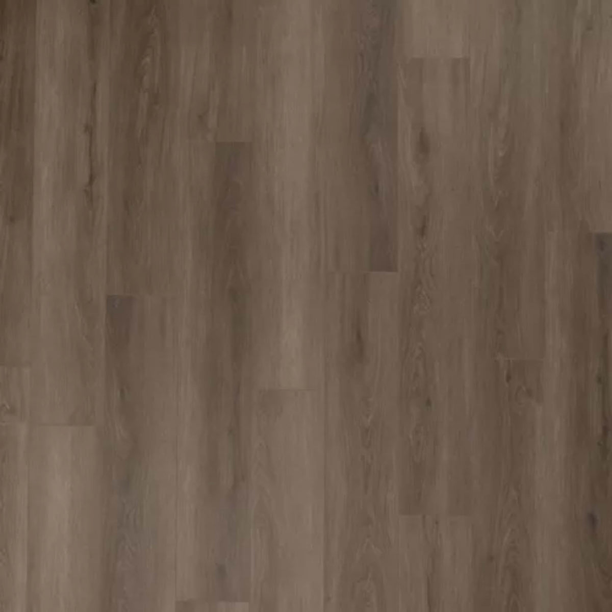 Timber Brook III in Rutledge Luxury Vinyl