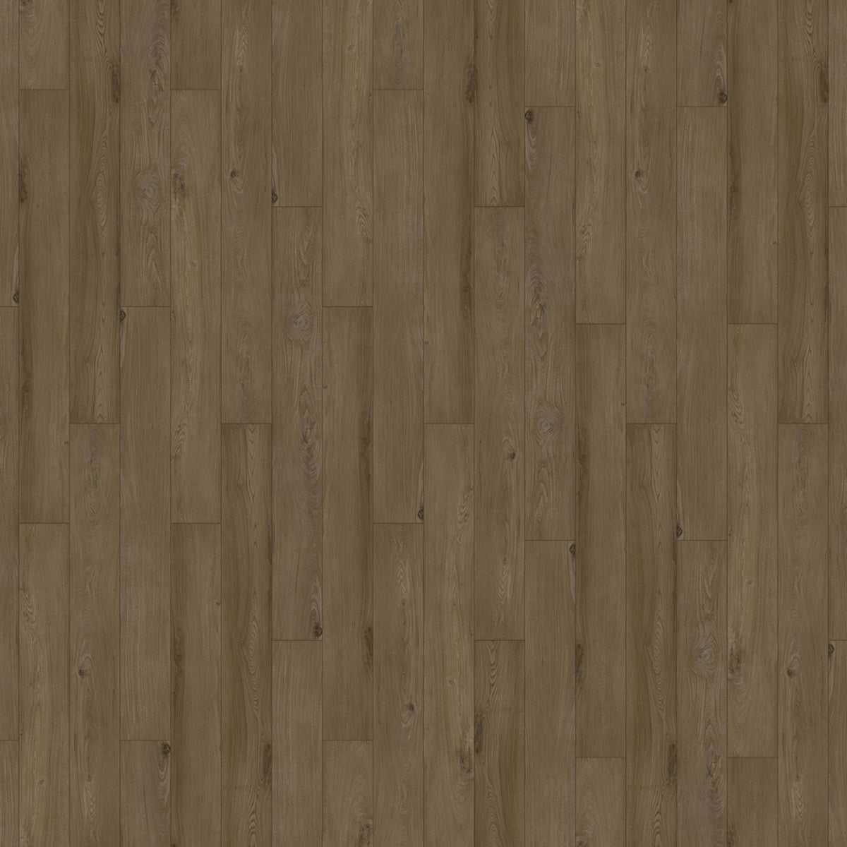 Innovious - Curio in Salem Elm Luxury Vinyl