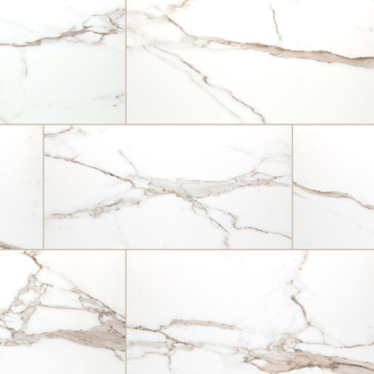 Savoy in Crema - 12x24 Polished Tile