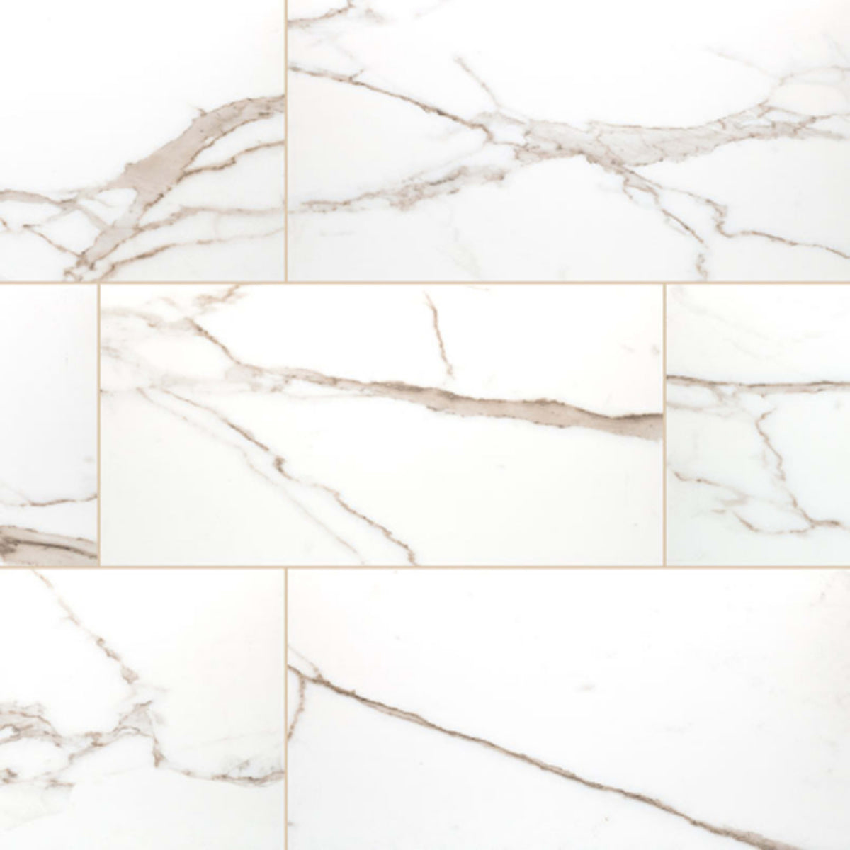 Savoy in Crema - 24x48 Polished Tile