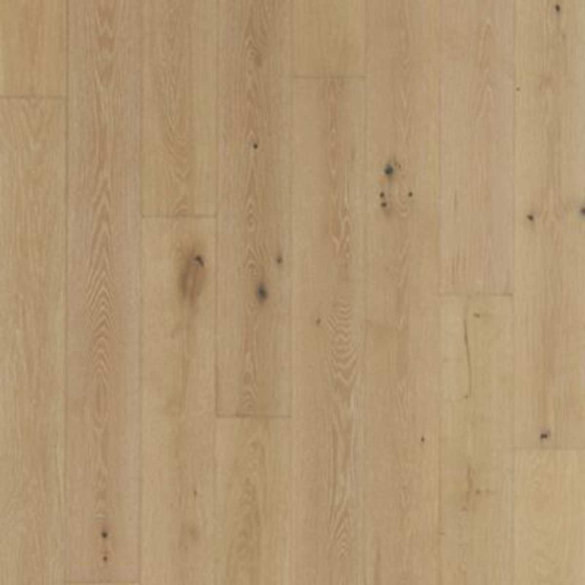 Balboa Strip in Seaglass Oak Hardwood