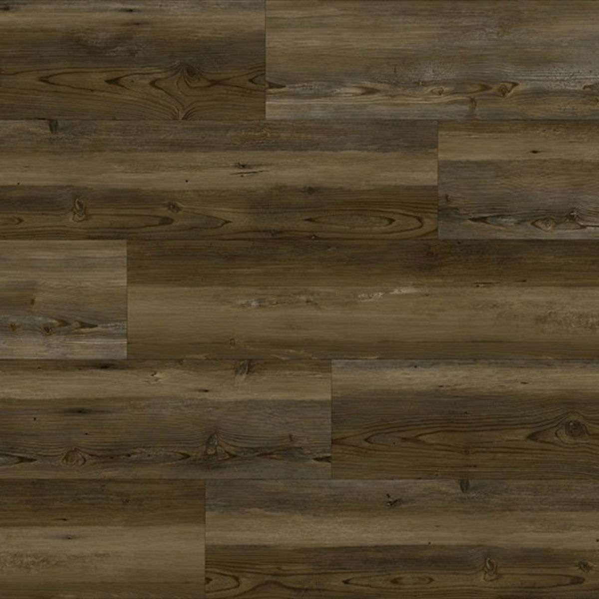 Platinum Series in Sierra Cypress Luxury Vinyl