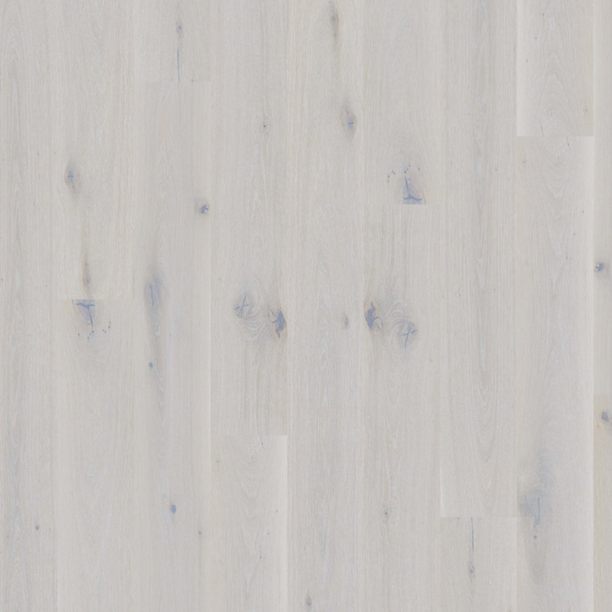 Global Winds in Sirocco Hardwood