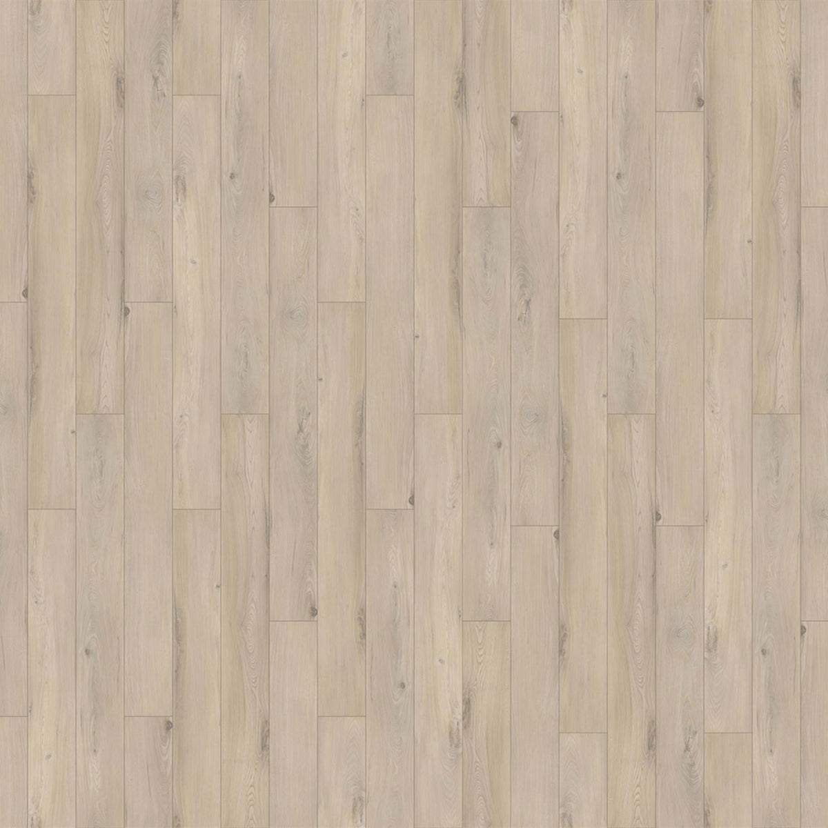 Innovious - Curio in Sol Elm Luxury Vinyl