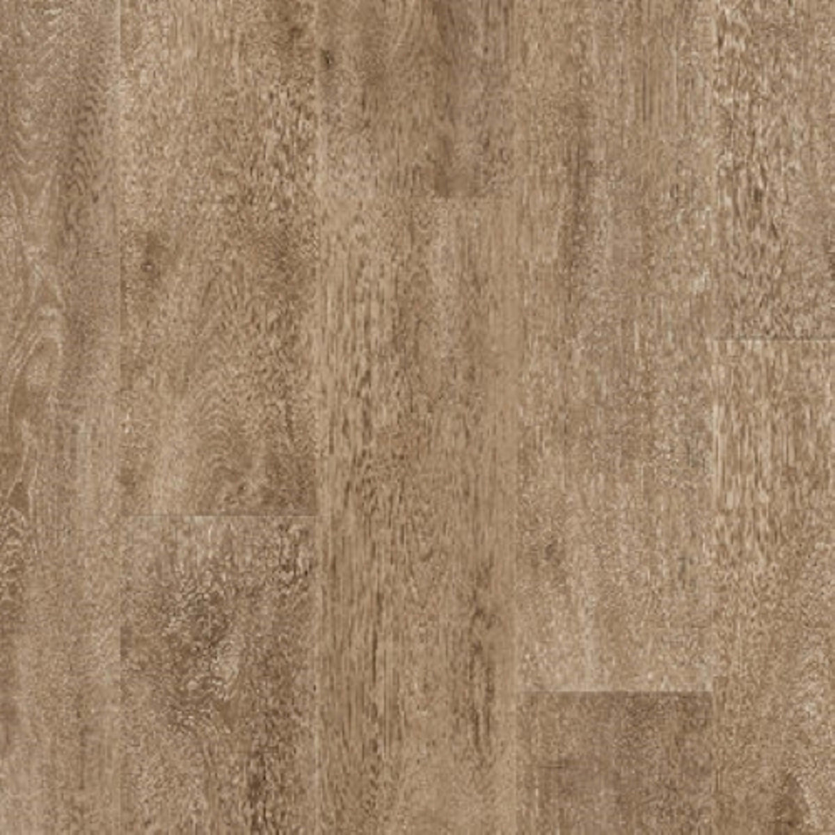 Metro+ in Station Oak Peanut Vinyl Sheet Goods