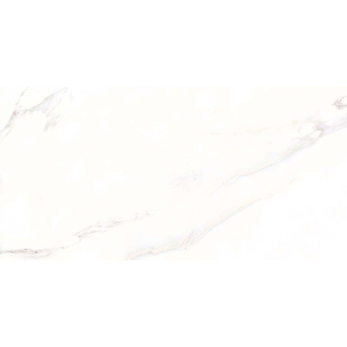 Calacatta in White 24x48 Tile