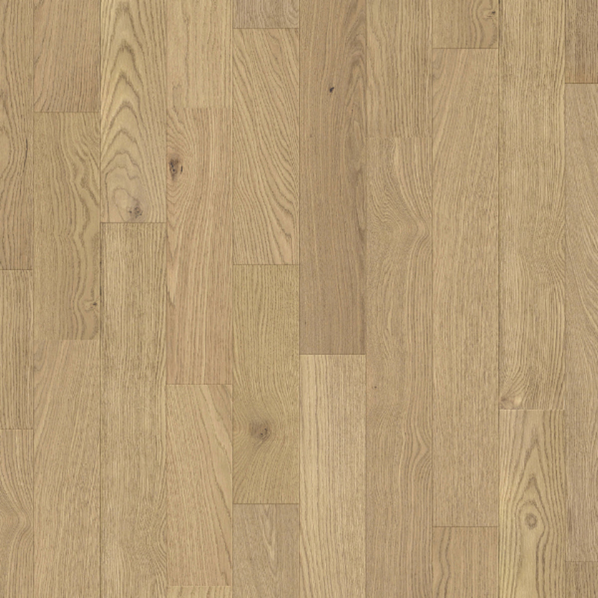 Traditions in Latte Hardwood